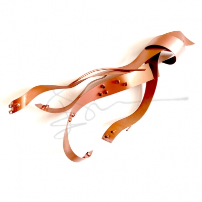 ISSIZ AHTAPOT, ISOLATED OCTOPUS