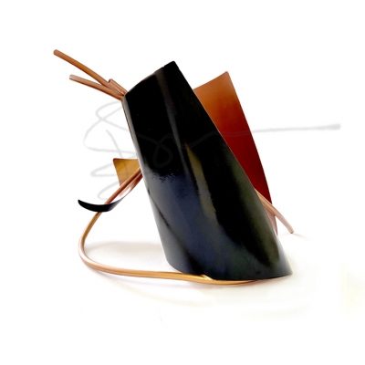 İÇİNE DÖNEN MERCAN, CORAL TURNING INSIDE